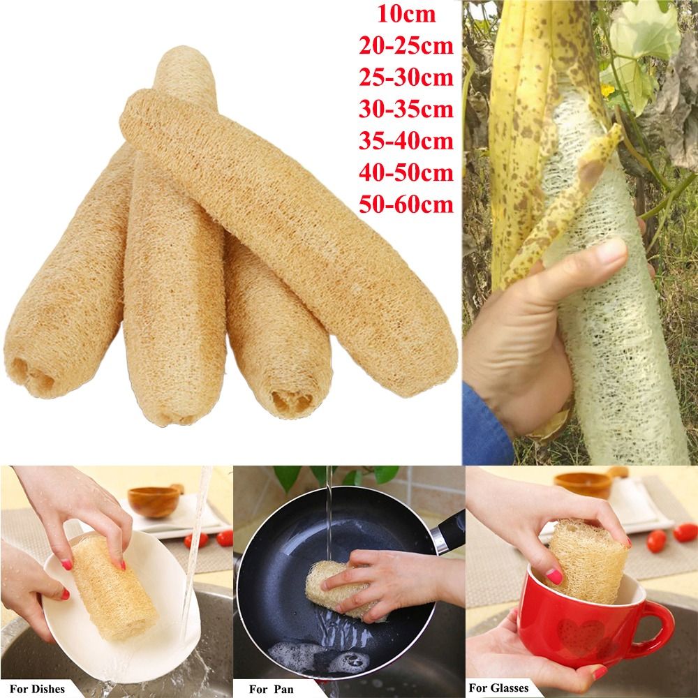 Natural Loofah Luffa Sponge No - Body Loofah Natural ulasan dan harga