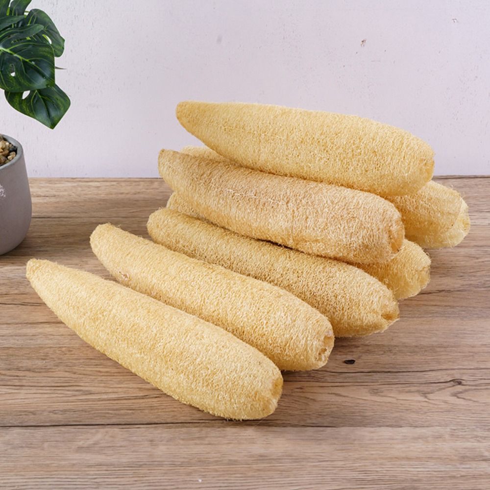 Natural Loofah Luffa Sponge No - Body Loofah Natural ulasan dan harga