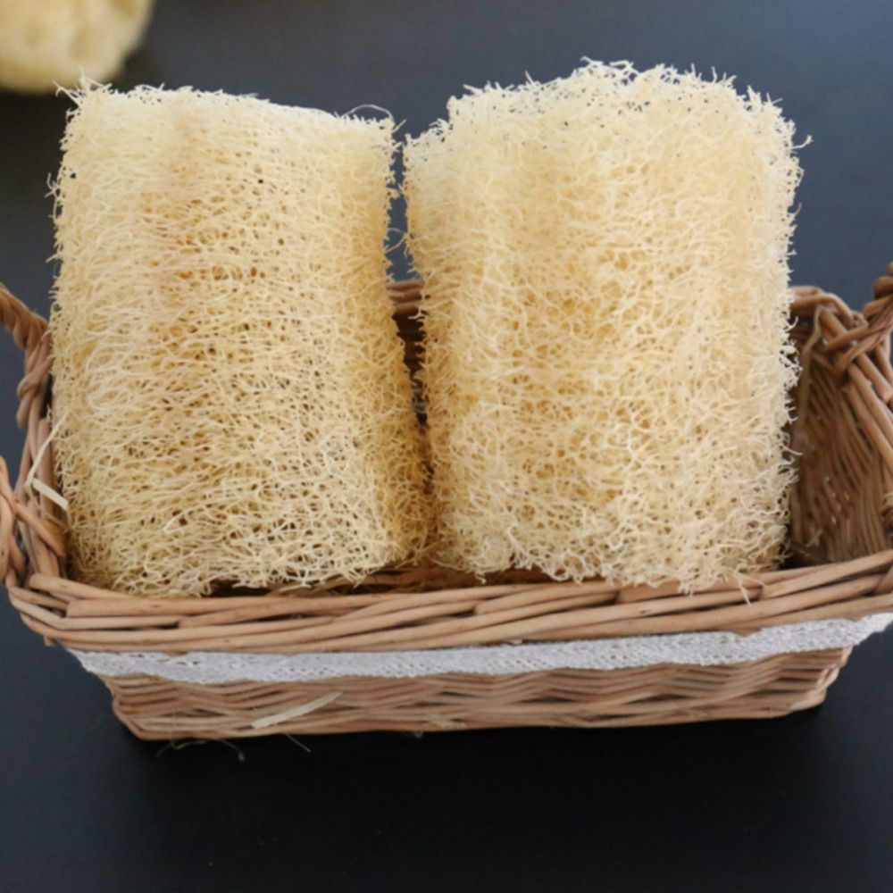 Natural Loofah Luffa Sponge No - Body Loofah Natural ulasan dan harga