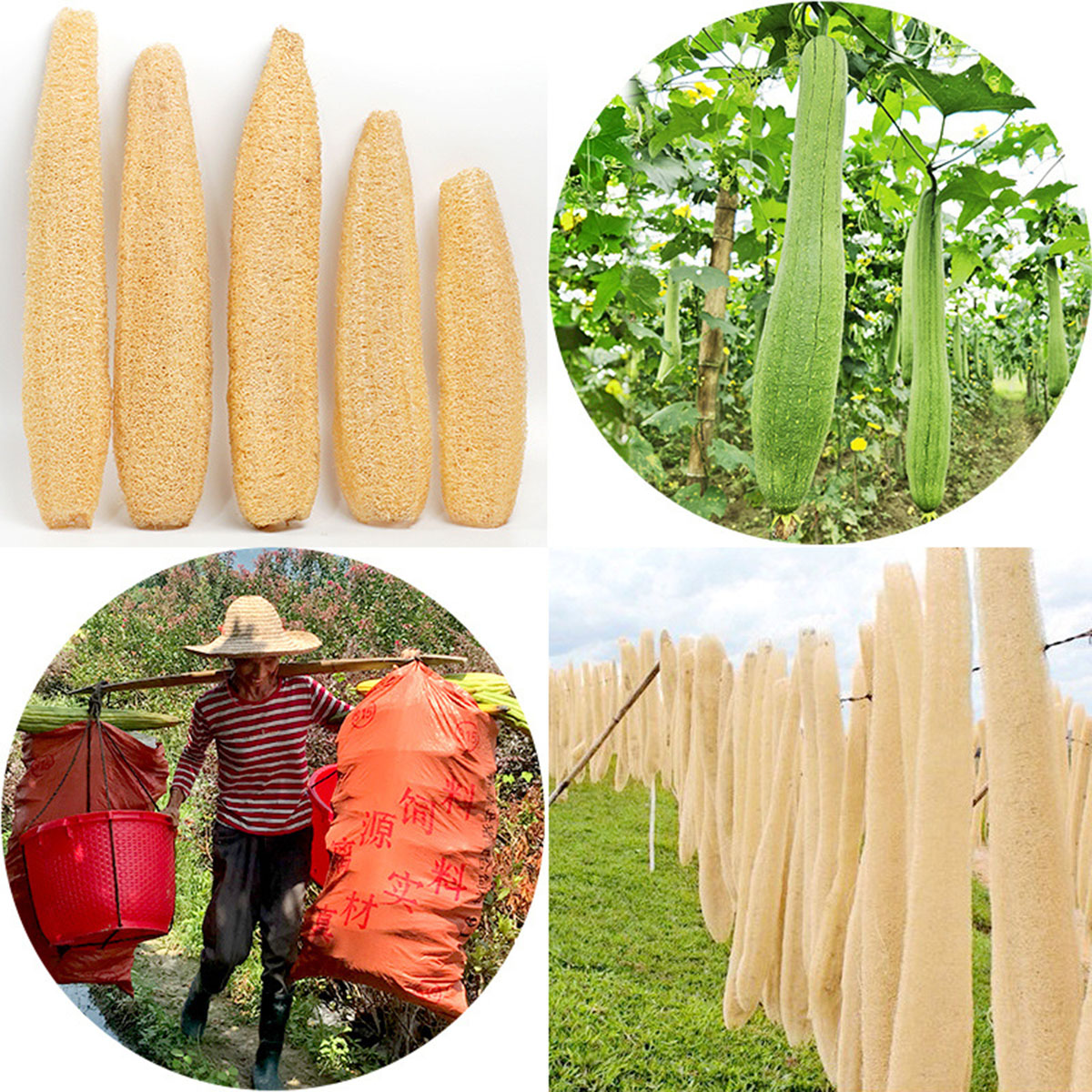 1pcs Natural Loofah Sponge Mul - Body Loofah Natural ulasan dan harga