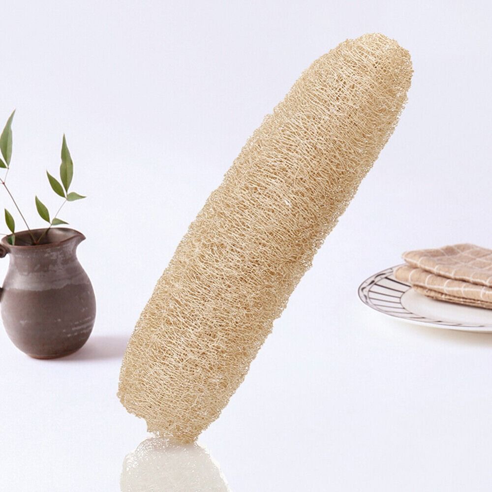 Natural Loofah Luffa Sponge Lo - Body Loofah Natural ulasan dan harga