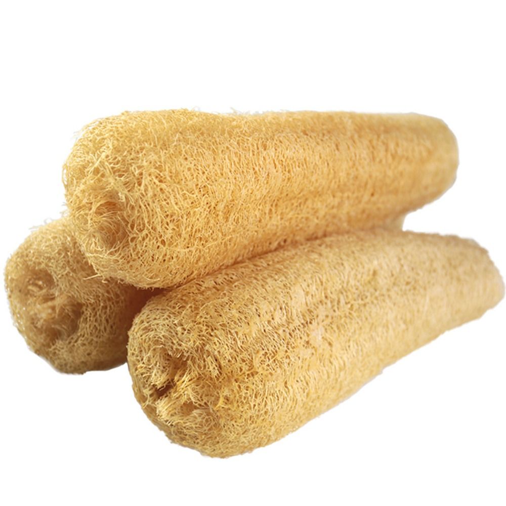 Natural Loofah Luffa Sponge Lo - Body Loofah Natural ulasan dan harga