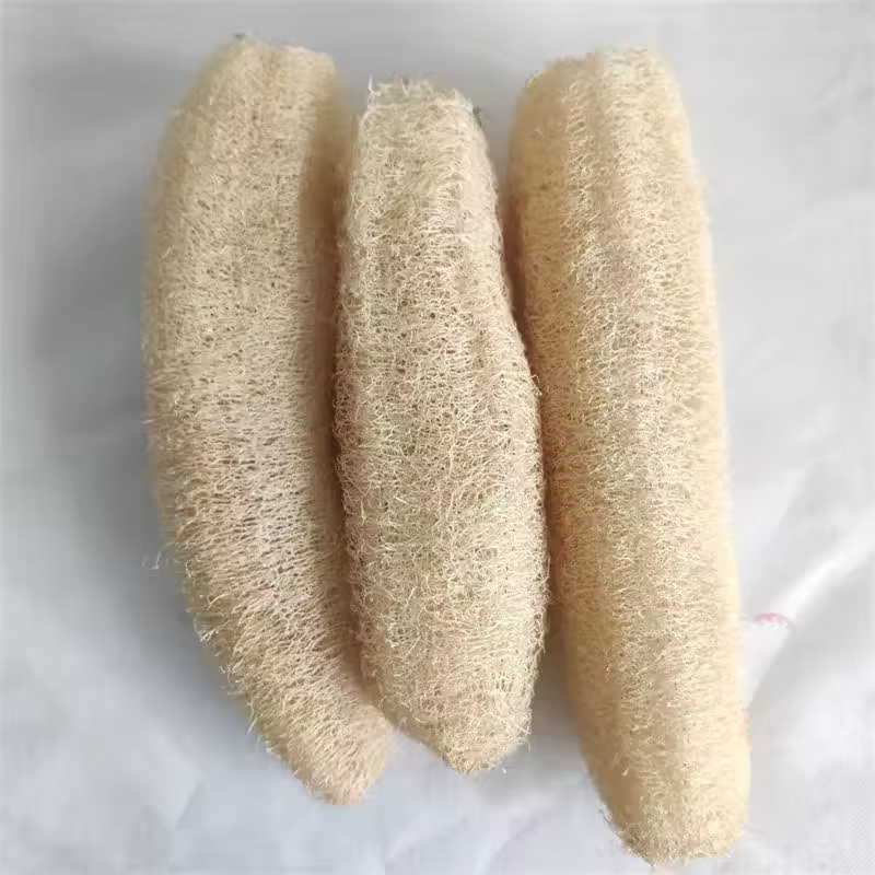 Natural Loofah Sponge Multi-pu - Body Loofah Natural ulasan dan harga
