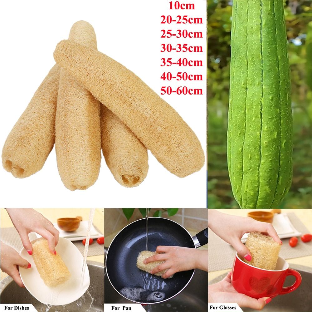 Natural Loofah Luffa Sponge Lo - Body Loofah Natural ulasan dan harga