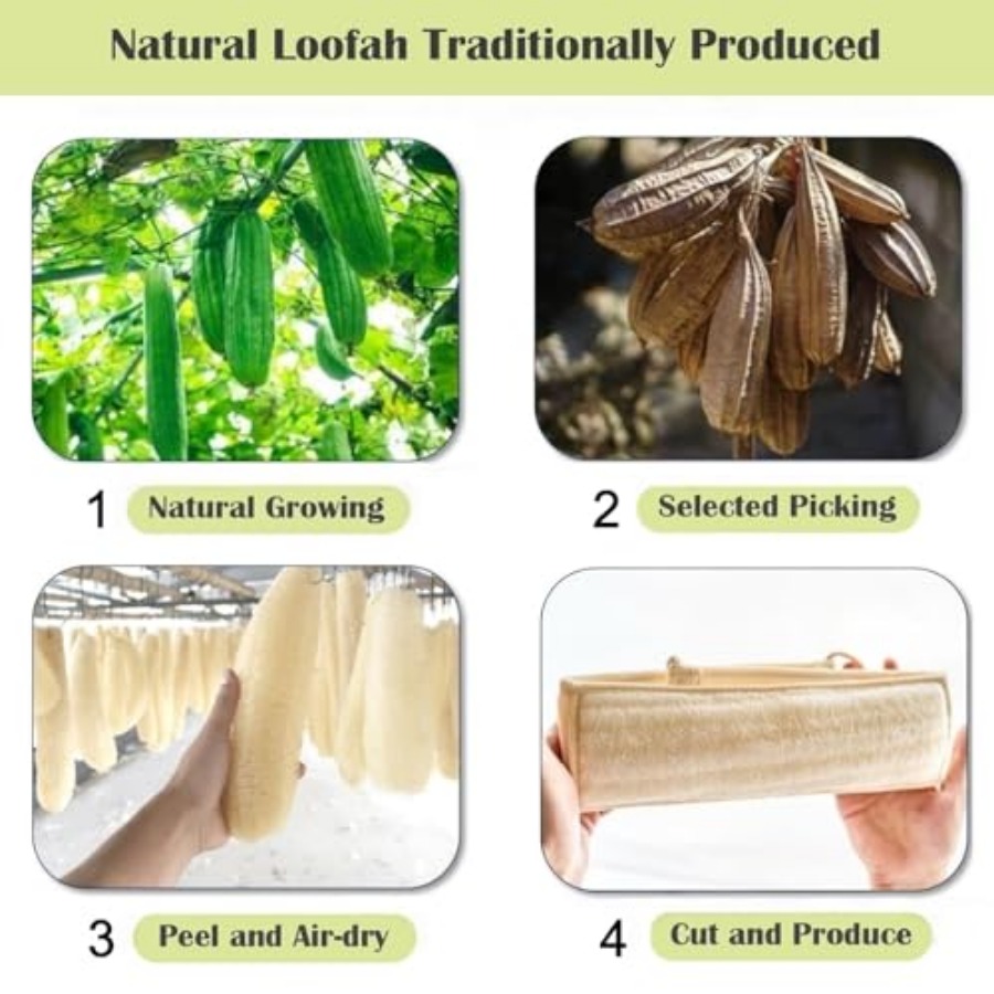 Natural Loofah Back Scrubber f - Body Loofah Natural ulasan dan harga