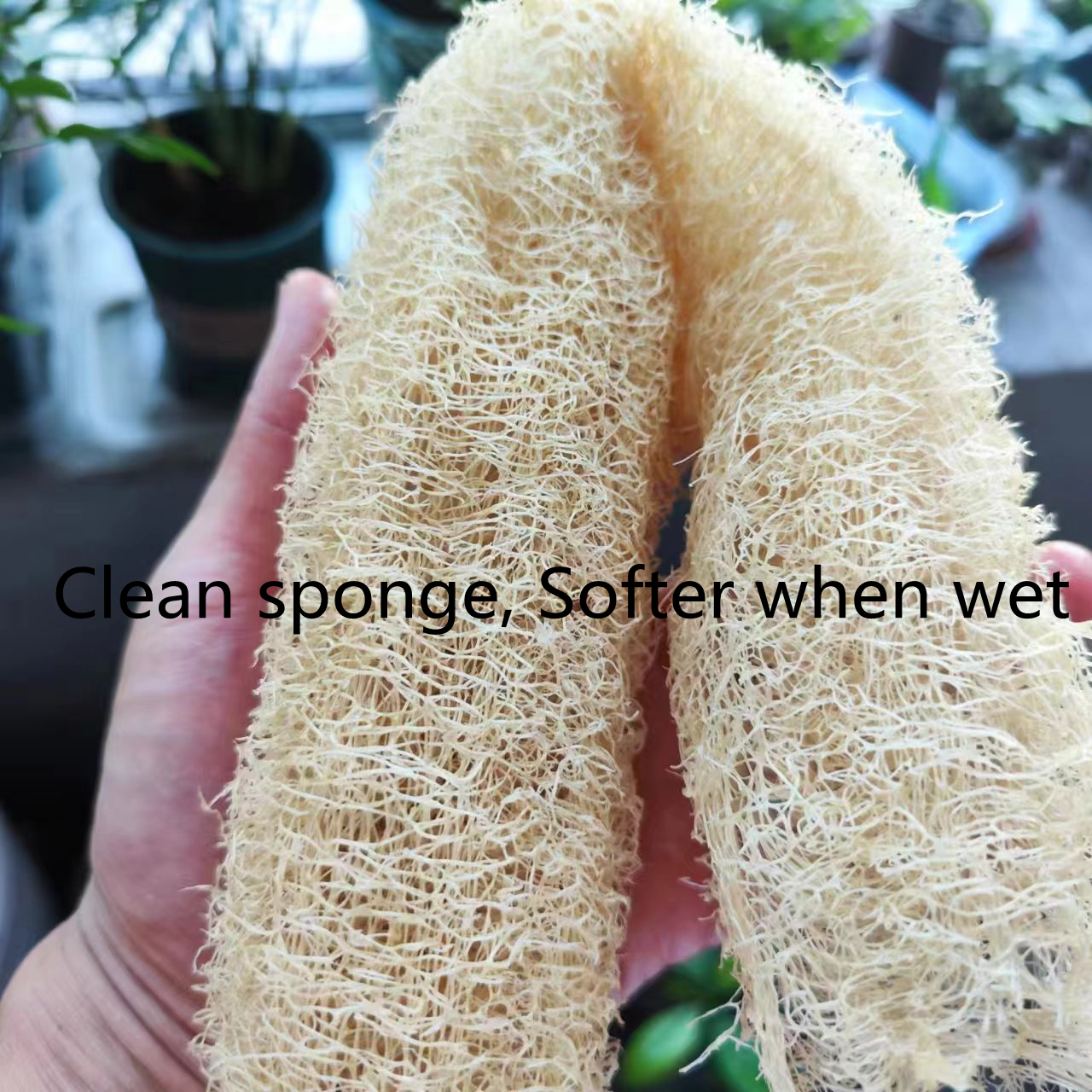 Marvelous Loofah Sponge Versat - Body Loofah Natural ulasan dan harga