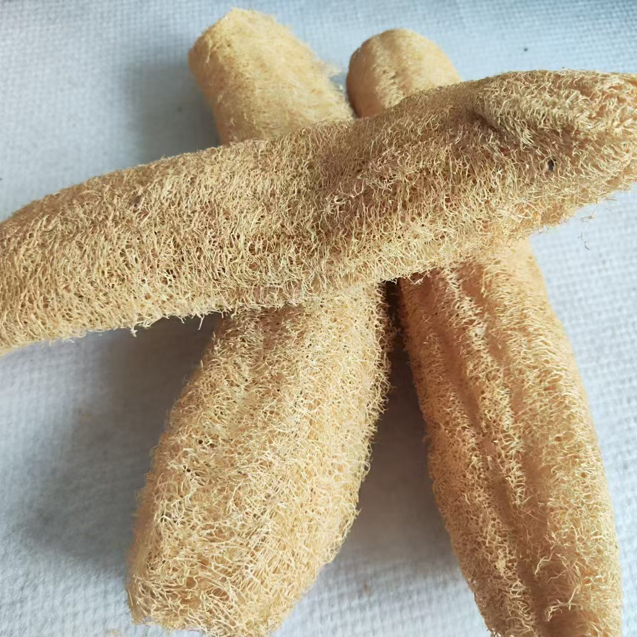 Marvelous Loofah Sponge Versat - Body Loofah Natural ulasan dan harga